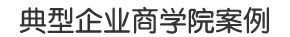 典型企业商学院案例